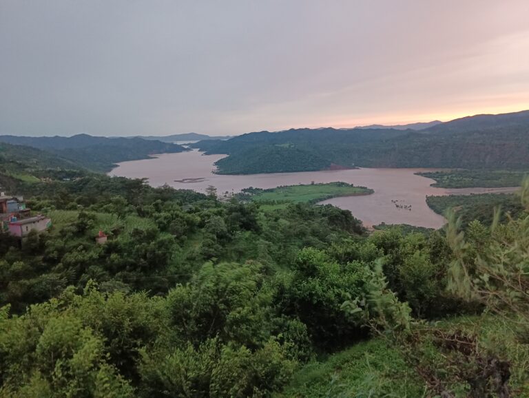 Jangal Ka Loktantr Aur Chaplus Mantri by Kushal Sharma